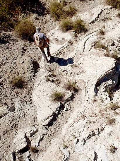 Research and knowledge | Geoparque de Granada investigacion 1 410x550 - Research and knowledge - Geoparque de Granada