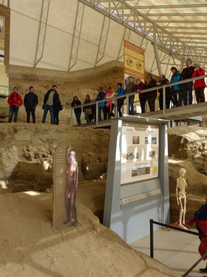 MVM 20170303 49 1 410x550 - Valle del Río Fardes Palaeontological Station (Fonelas) - Geoparque de Granada