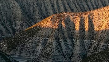 carcavas guardal 1 350x200 - Badlands de Castilléjar y Galera - Geoparque de Granada