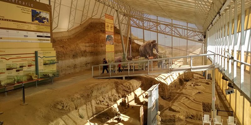 fonelas 800x400 - Yacimiento paleontológico Fonelas P-1 (EPVRF) - Geoparque de Granada