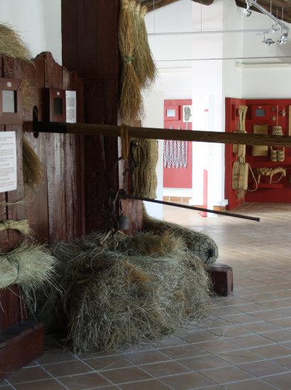 img 4305 410x550 - Centro de recepción de visitantes y Ecomuseo de Castilléjar - Geoparque de Granada