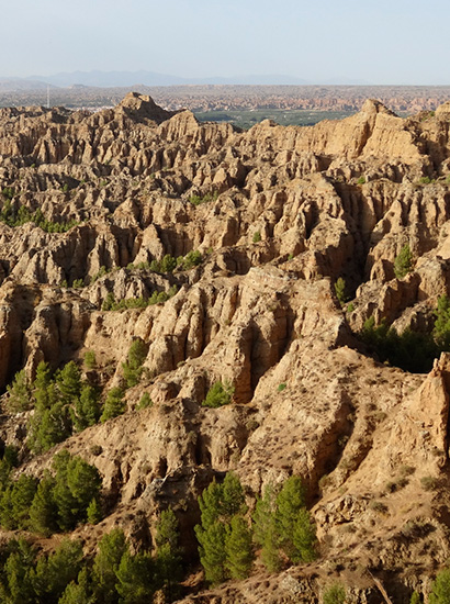 marchal 1 - Badlands of Marchal (piping) - Geoparque de Granada