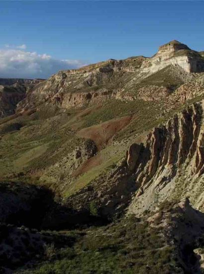 discordancia-gorafa