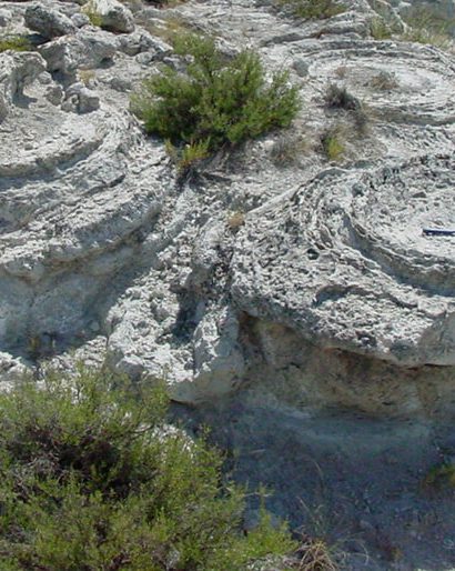 sismitas castillejar 410x514 - Seismites of Galera and Castilléjar - Geoparque de Granada