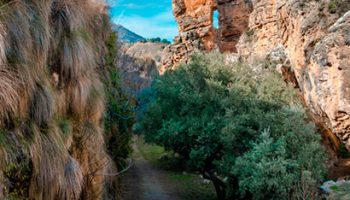 travertinos alicun 350x200 - Ruta Acequia del Toril y dólmenes de Alicún - Geoparque de Granada