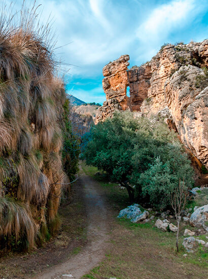 Travertines of the Baños de Alicún (Villanueva de las Torres) | Geoparque de Granada travertinos alicun - Travertines of the Baños de Alicún (Villanueva de las Torres) - Geoparque de Granada