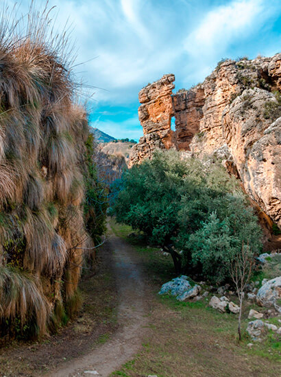 travertinos alicun - Travertines of the Baños de Alicún (Villanueva de las Torres) - Geoparque de Granada