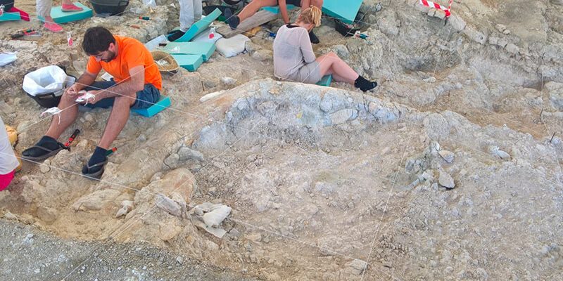 yacimiento fuente nueva 1 800x400 - Palaeontological Site Fuente Nueva-3 - Geoparque de Granada