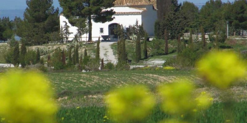 60968769 836972489992250 5516837237754429440 o 800x400 - Centro de Iniciativas Turísticas de Cúllar - Geoparque de Granada