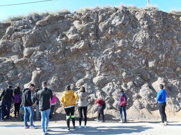 DIA CAMPO 01 2019 03 29 at 19.48.40 750x563 - Educación y participación ambiental en el Geoparque de Granada, un objetivo para todos los públicos. - Geoparque de Granada