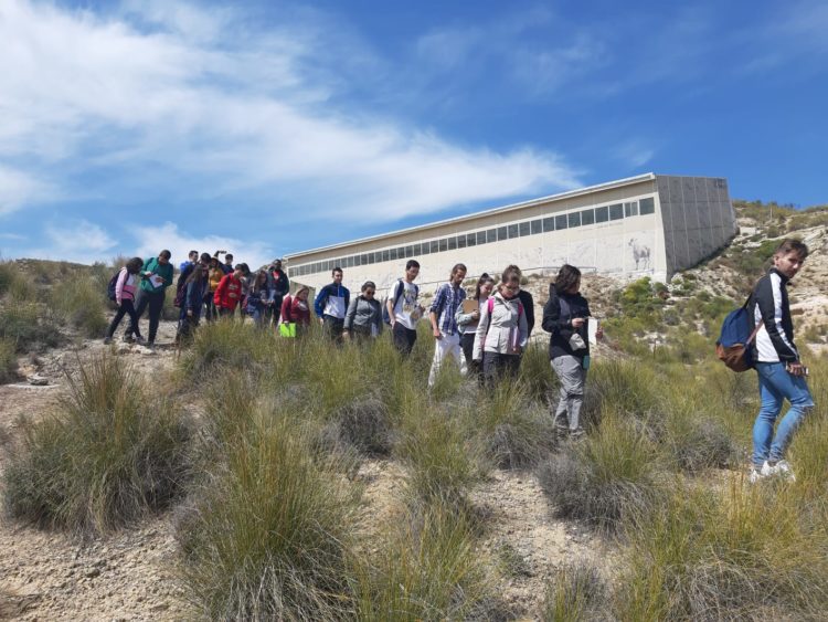 DIA CAMPO 01 2019 03 29 at 19.49.51 750x563 - Educación y participación ambiental en el Geoparque de Granada, un objetivo para todos los públicos. - Geoparque de Granada