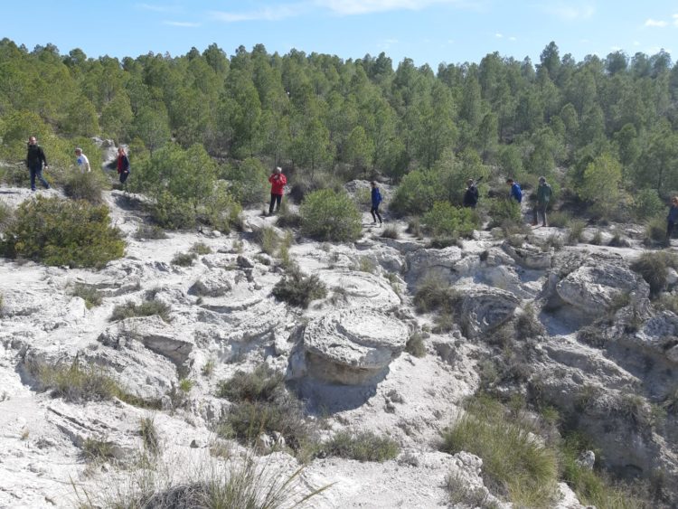 DIA CAMPO 02 2019 03 30 at 14.40.57 750x563 - Educación y participación ambiental en el Geoparque de Granada, un objetivo para todos los públicos. - Geoparque de Granada