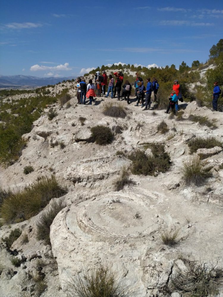 DIA CAMPO 02 2019 03 30 at 14.53.29 3 750x1000 - Educación y participación ambiental en el Geoparque de Granada, un objetivo para todos los públicos. - Geoparque de Granada