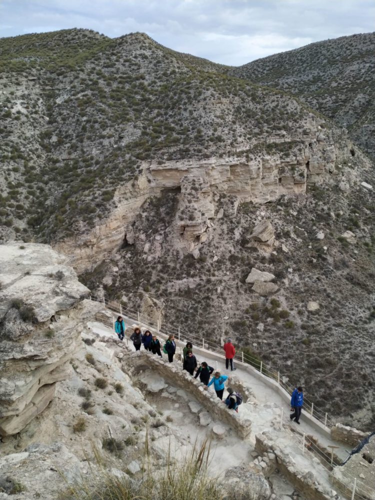 DIA CAMPO 02 2019 03 30 at 17.43.07 1 750x1000 - Educación y participación ambiental en el Geoparque de Granada, un objetivo para todos los públicos. - Geoparque de Granada