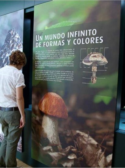 centro micologico caniles2 410x550 - Centro de Interpretación Micológico - Geoparque de Granada