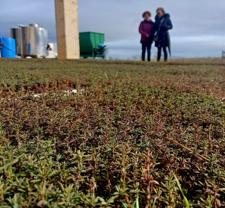tecnocetis 750x694 - Tecnocetis - Geoparque de Granada