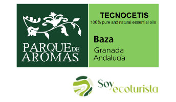 tecnocetis web 344x200 - Tecnocetis - Geoparque de Granada