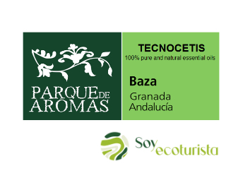 tecnocetis web - Tecnocetis - Geoparque de Granada